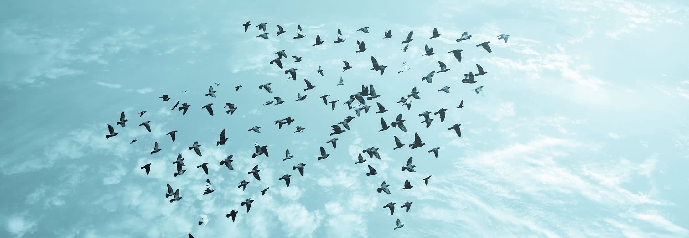 The Ultimate Guide to the Best Social Media Management Tools in 2025