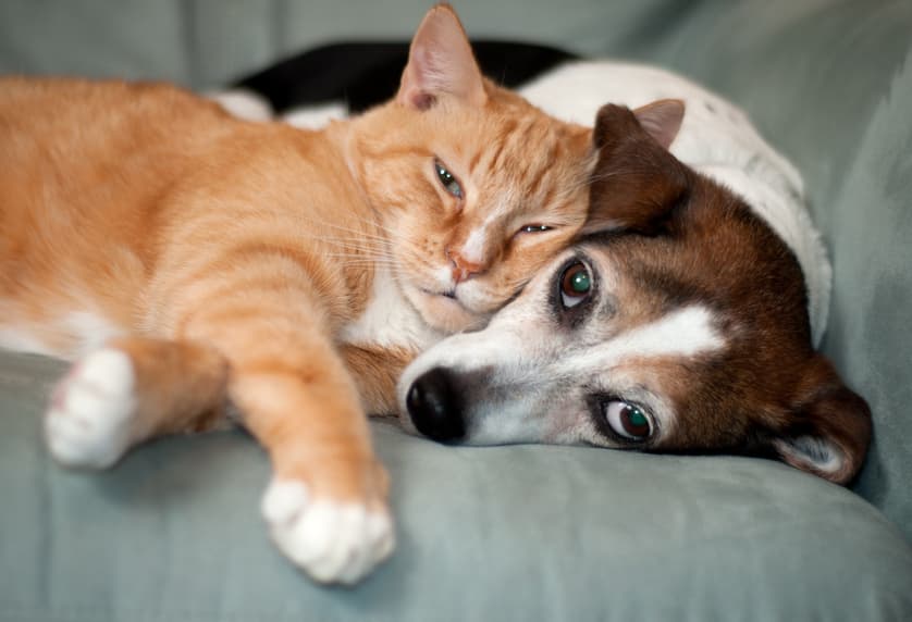 Mastering Relationship Marketing: Strategies to Boost Customer Loyalty