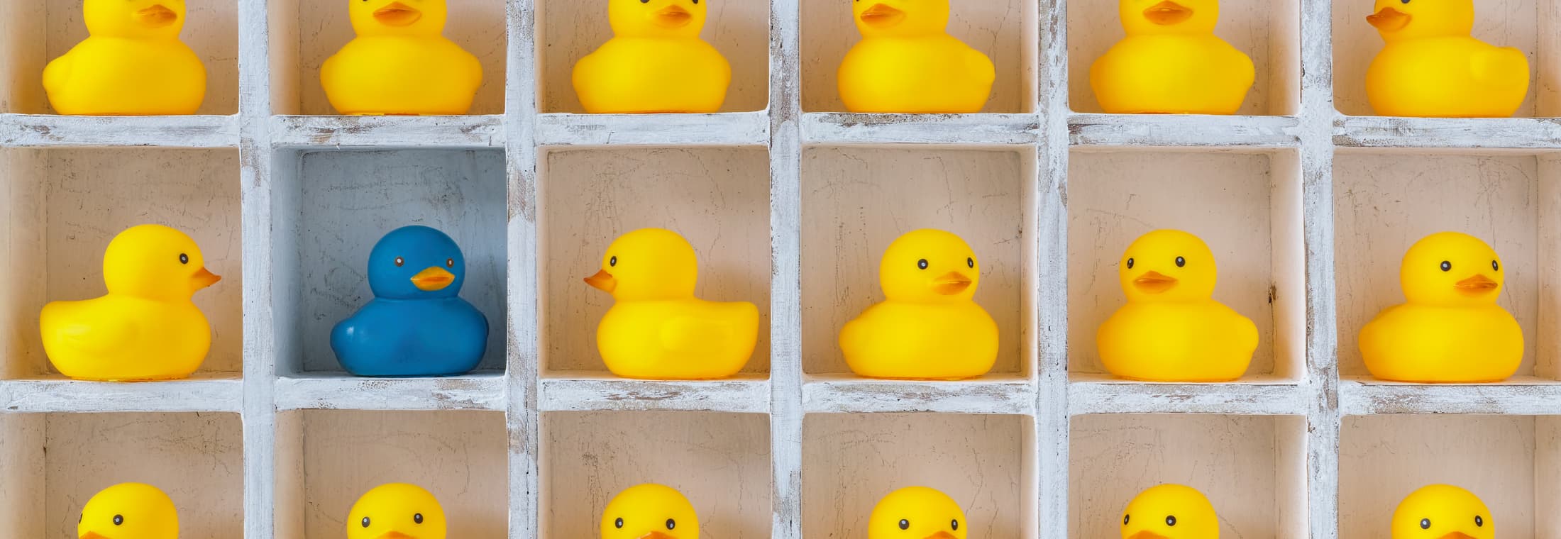 Personas, Personalization, and How to Make Your Strategy a Success