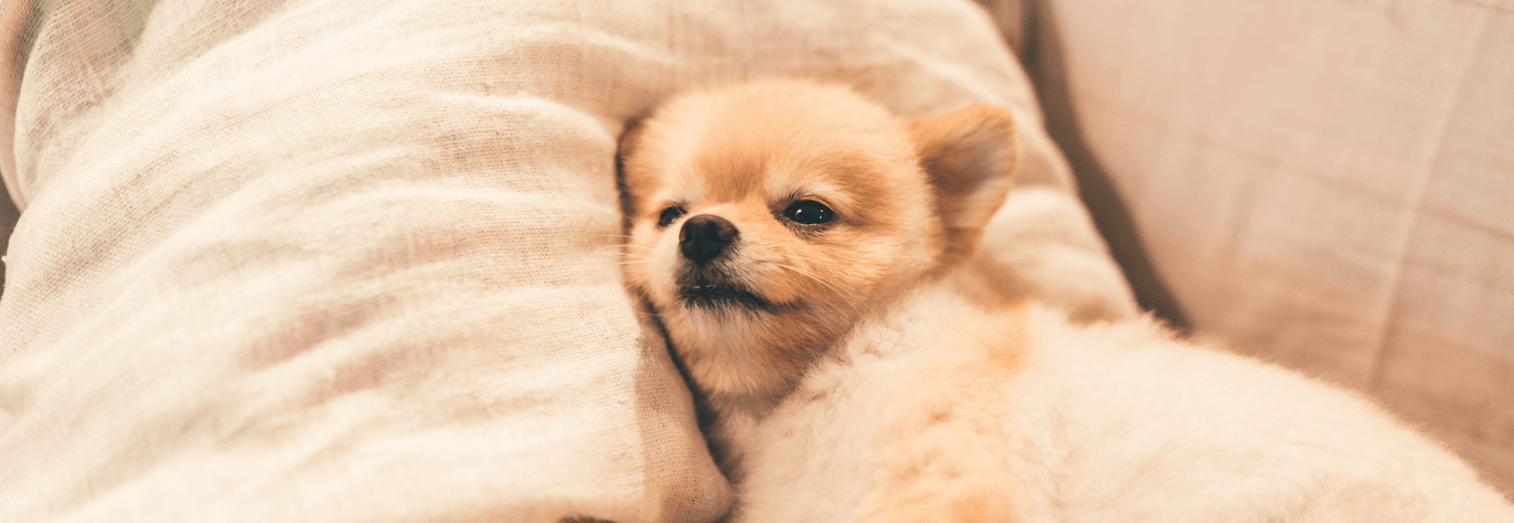 Hangover Data: When Is The Most Hungover Day of the Year?