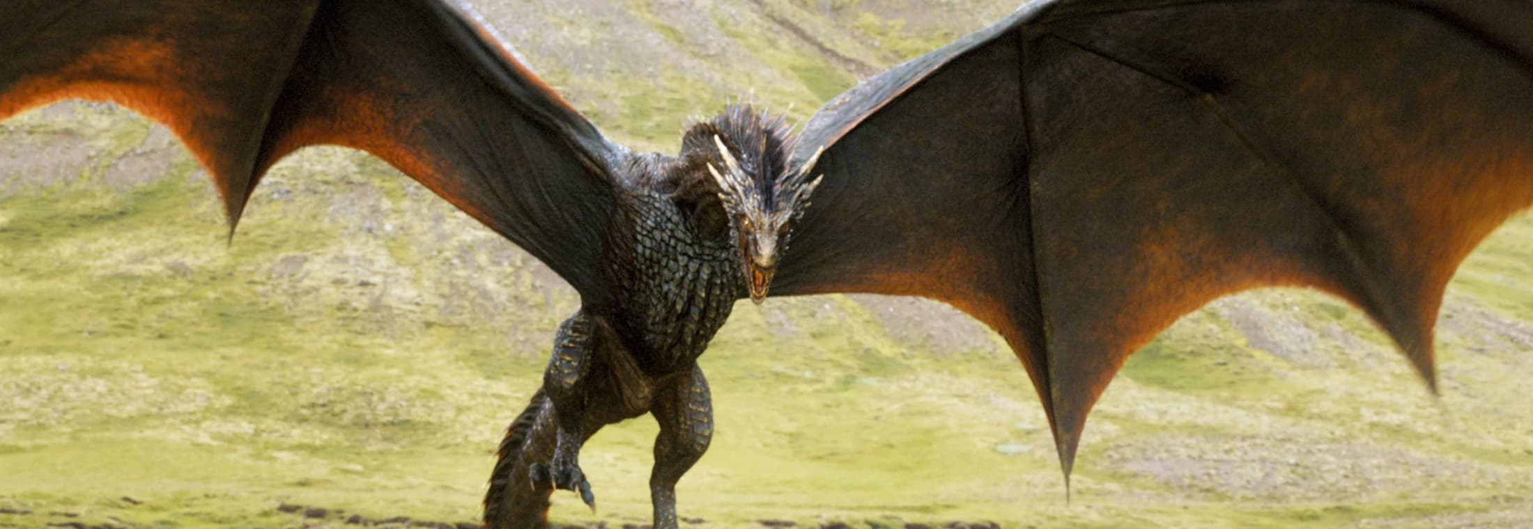 The Internet Reacts to Game of Thrones: The Dragon & The Wolf