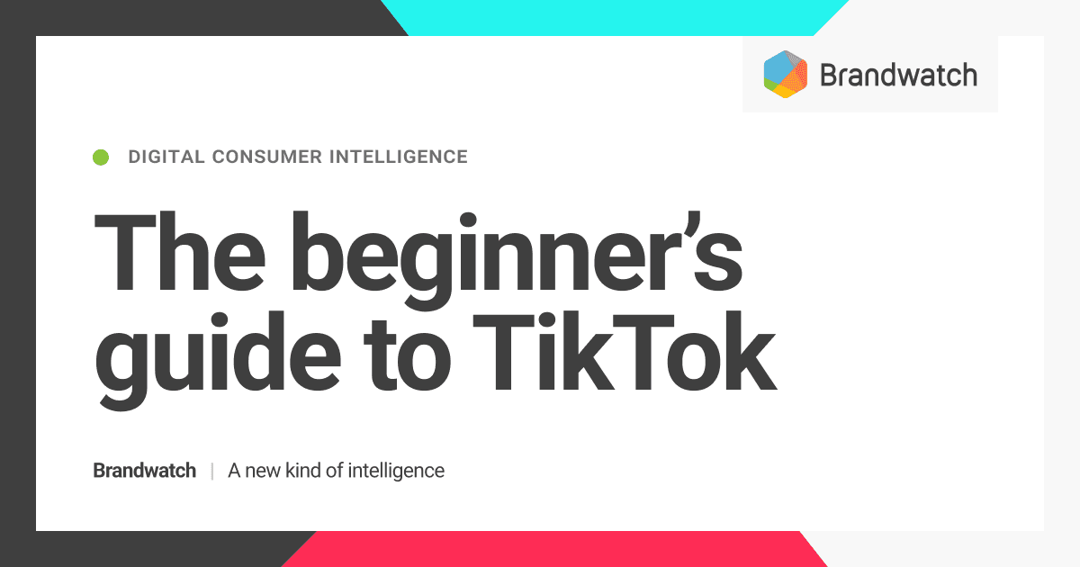 The Beginner’s Guide to TikTok