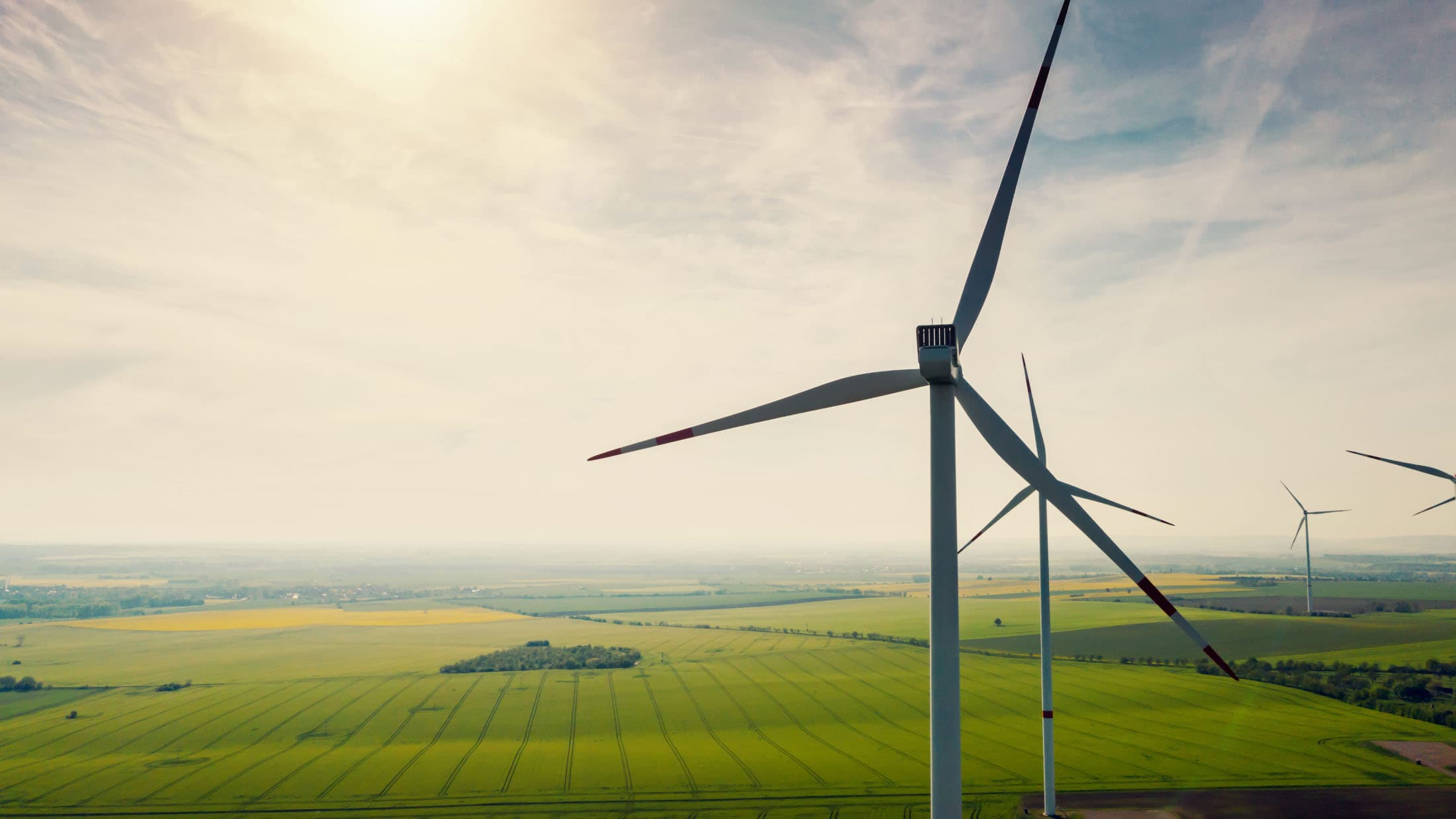 Tried and Tested Ways To Improve Brand Sustainability