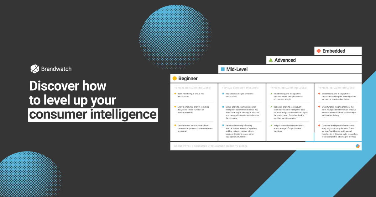 The Consumer Intelligence Maturity Model