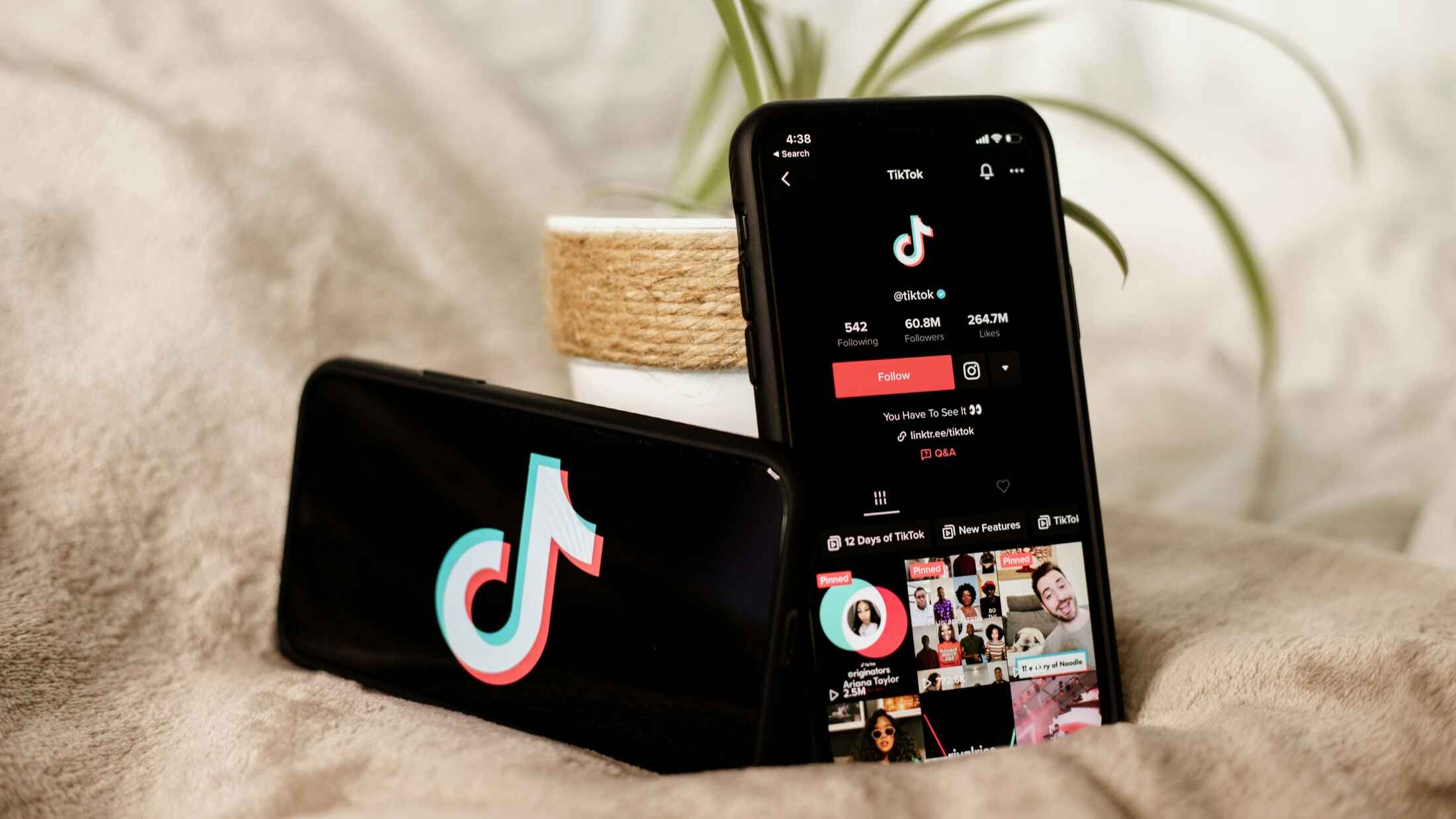 How Does TikTok Work? A Great Beginner's Guide for 2025