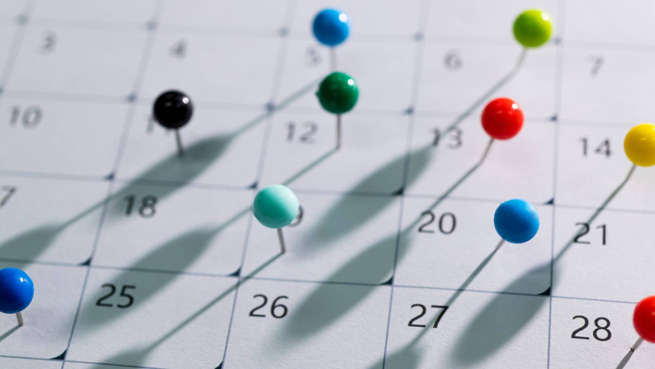 Can You Schedule a Reel on Instagram? Here’s What You Need to Know